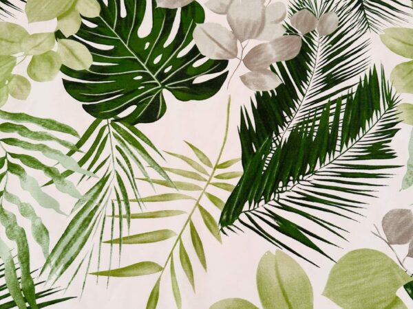 Palmy, monstera, eukaliptus