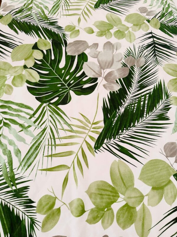 Palmy, monstera, eukaliptus